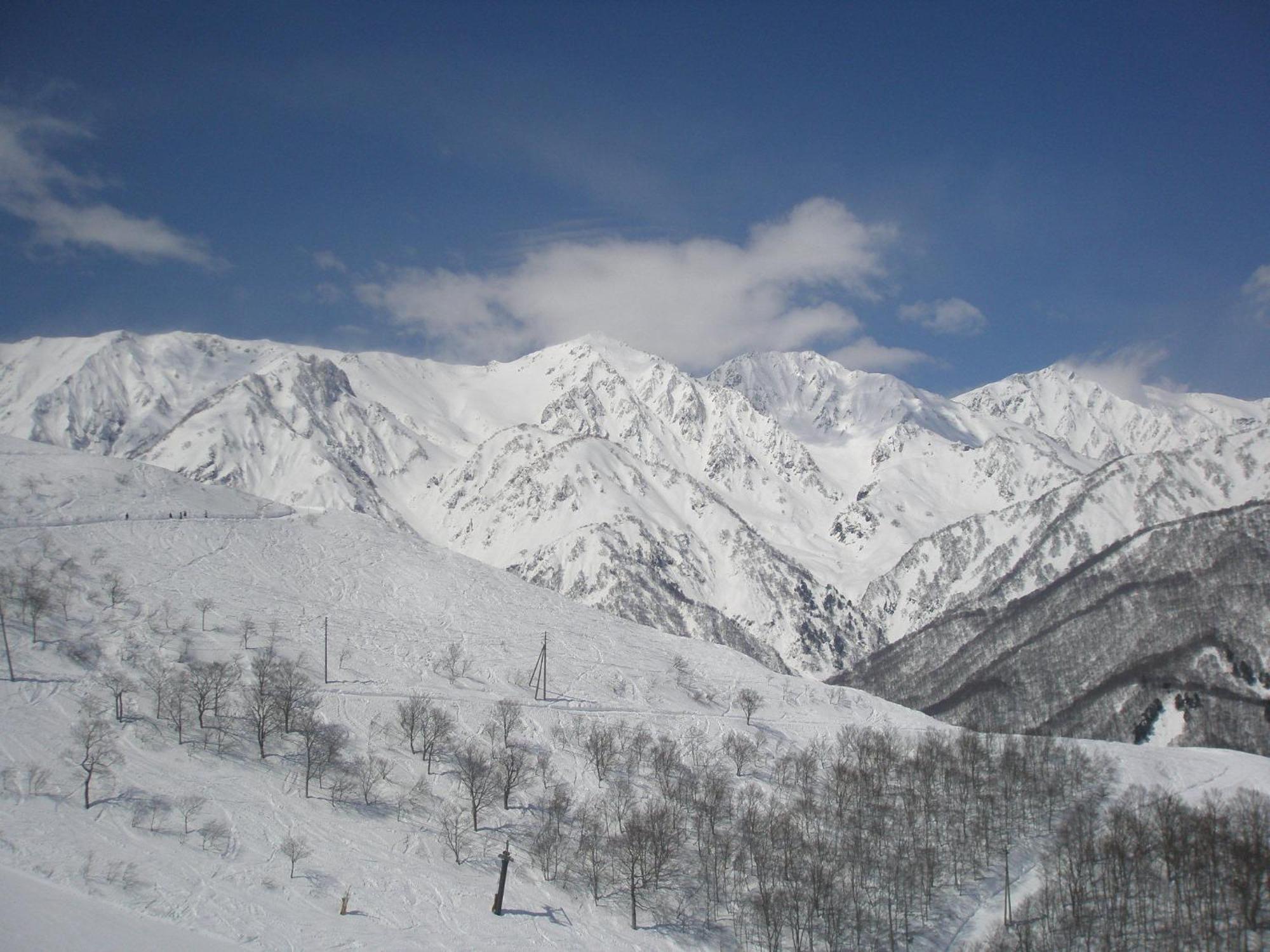 Alpine Wind Bed & Breakfast Хакуба Екстериор снимка
